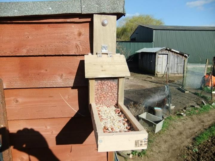 How To Make A Squirrel Feeder Youtube